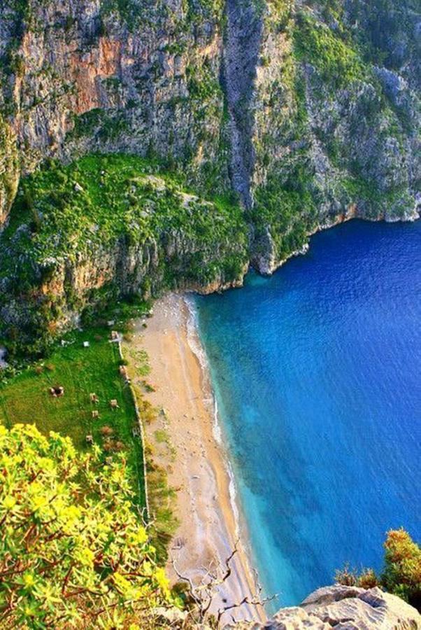 Green Forest Holiday Village Ölüdeniz Esterno foto